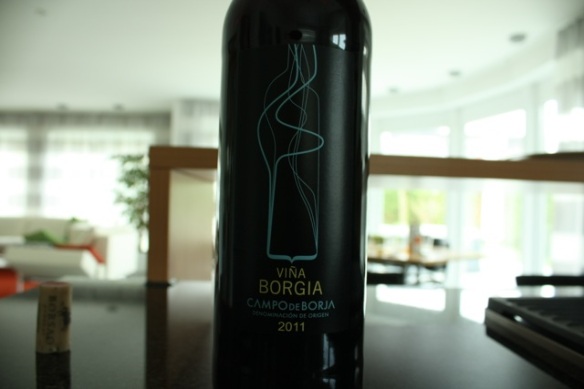 2011 Vina Borgia